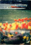 Annecy (74 - Haute-Savoie) - Entre les tches rouges et la Citron se trouve le lac d'Annecy, c'est beau hein ?