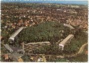Palaiseau (91 - Essonne) - Une touffe d'arbre en banlieue